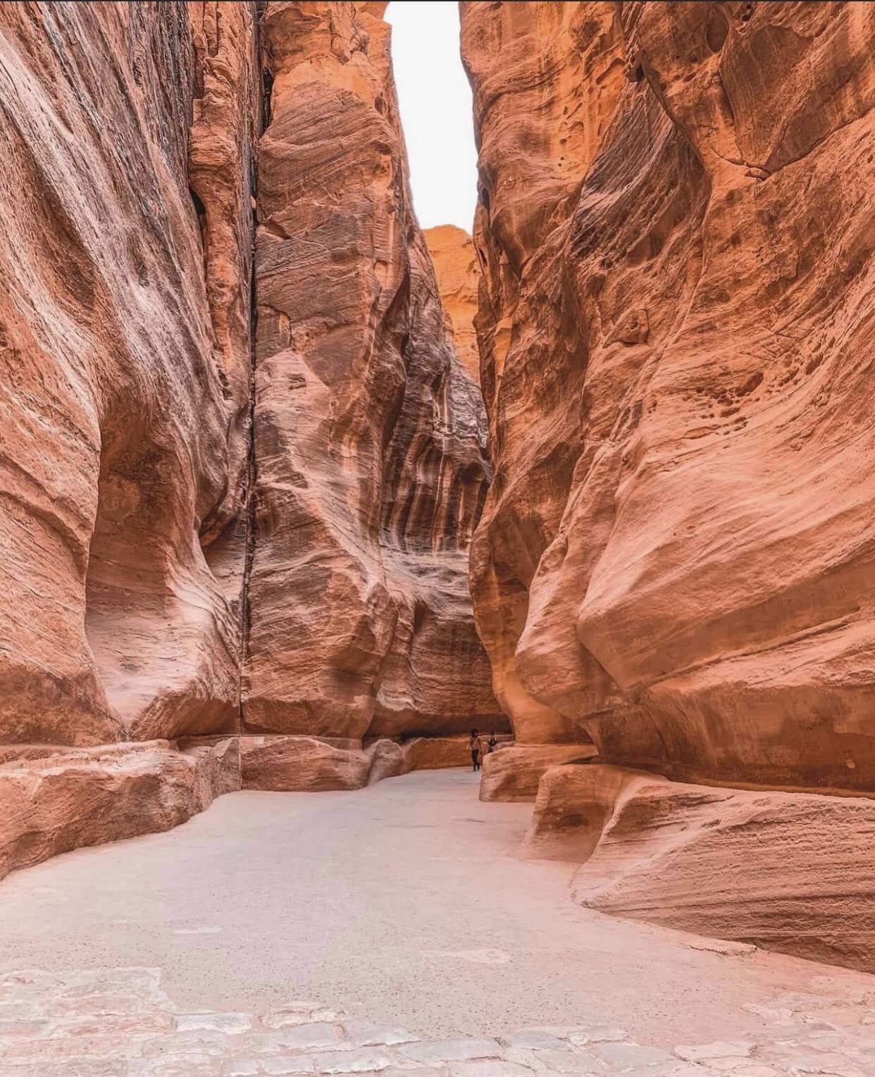 colored Canyon Salama(Diffrent programs)