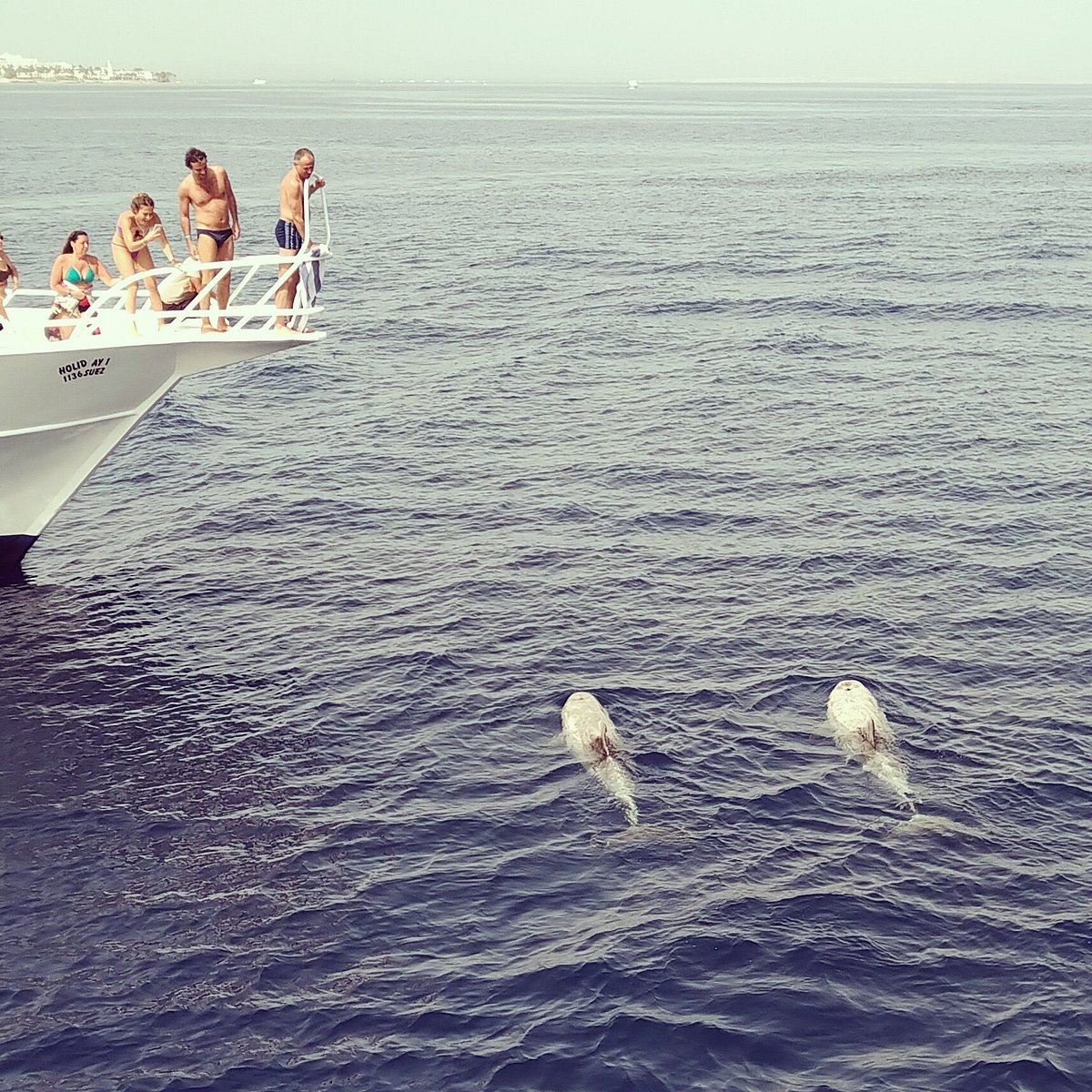 Tiran Island (by Yacht)